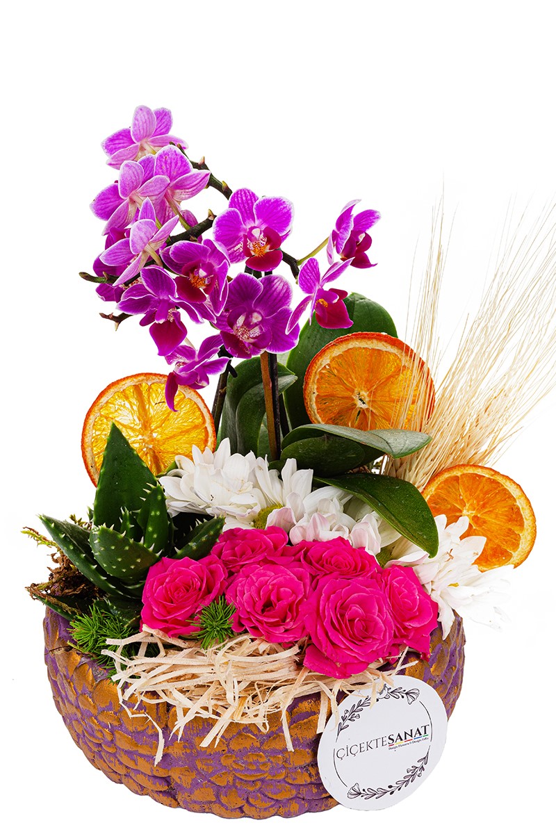 Pretty Orkide Aranjmanı