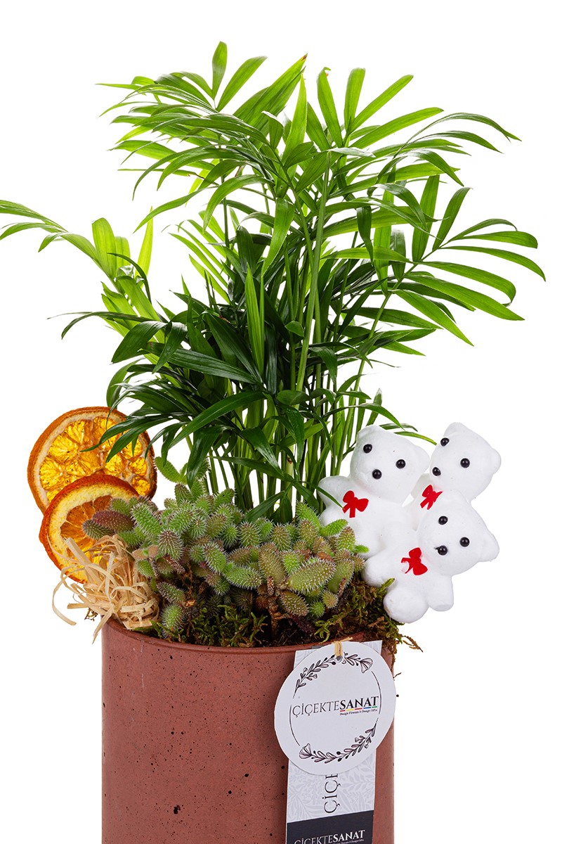 Lucky Day Seasonal Garden