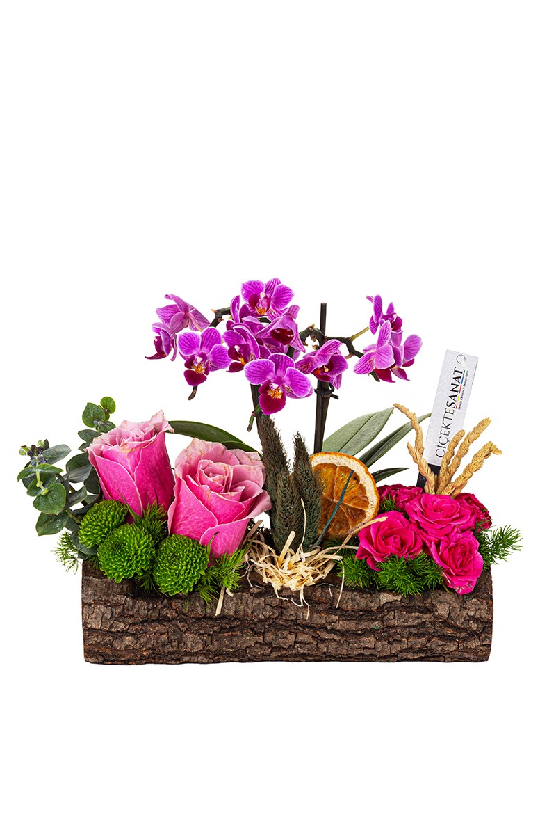 Flower on the Stump