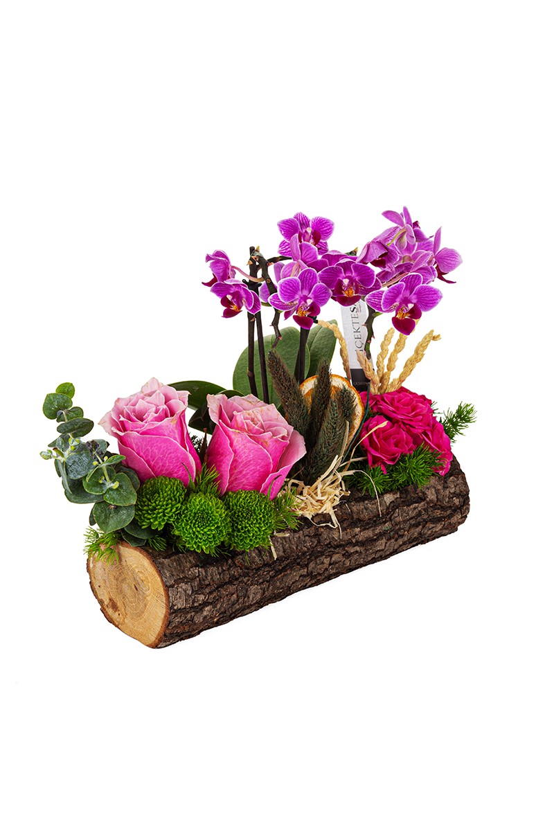 Flower on the Stump