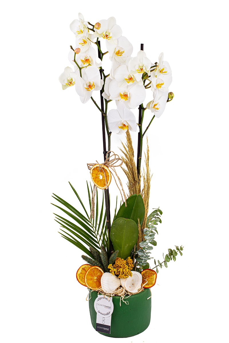 Rustic Beauty Orkide - 1