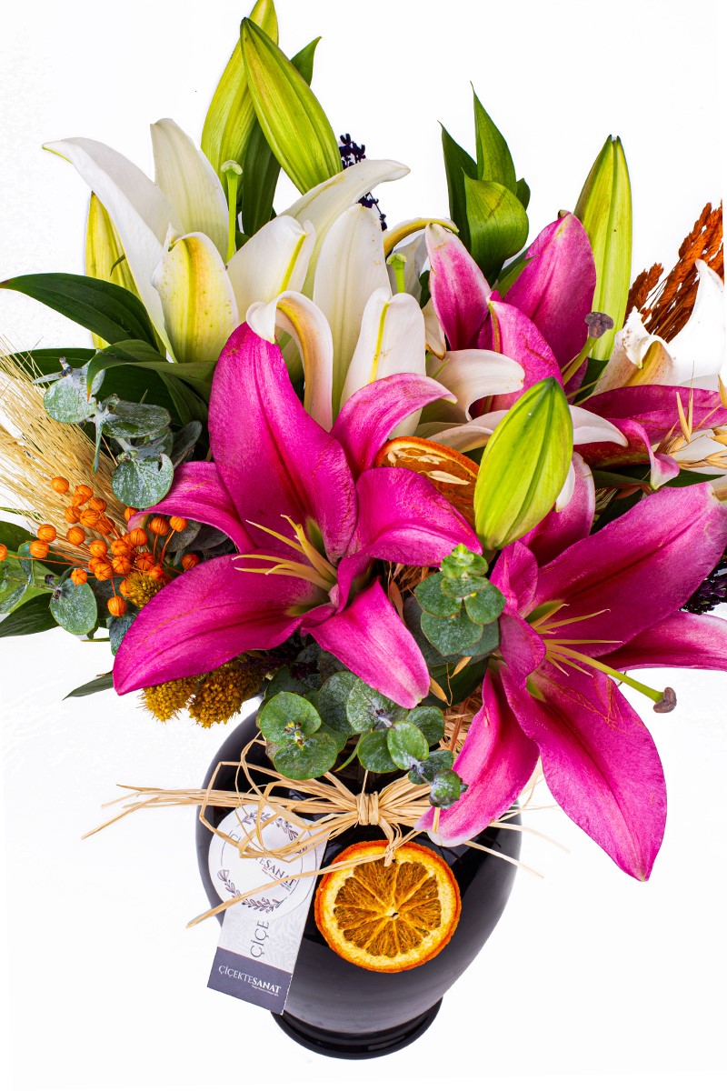 Pink & Whıte Lily