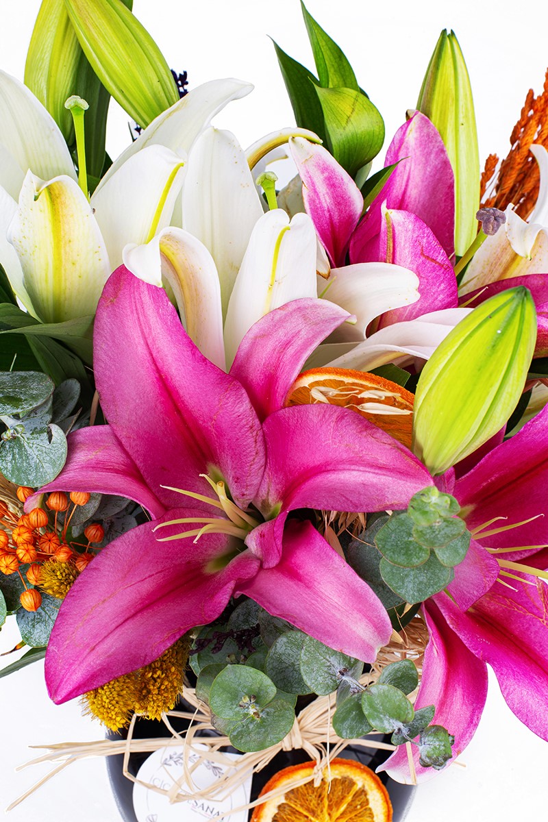 Pink & Whıte Lily