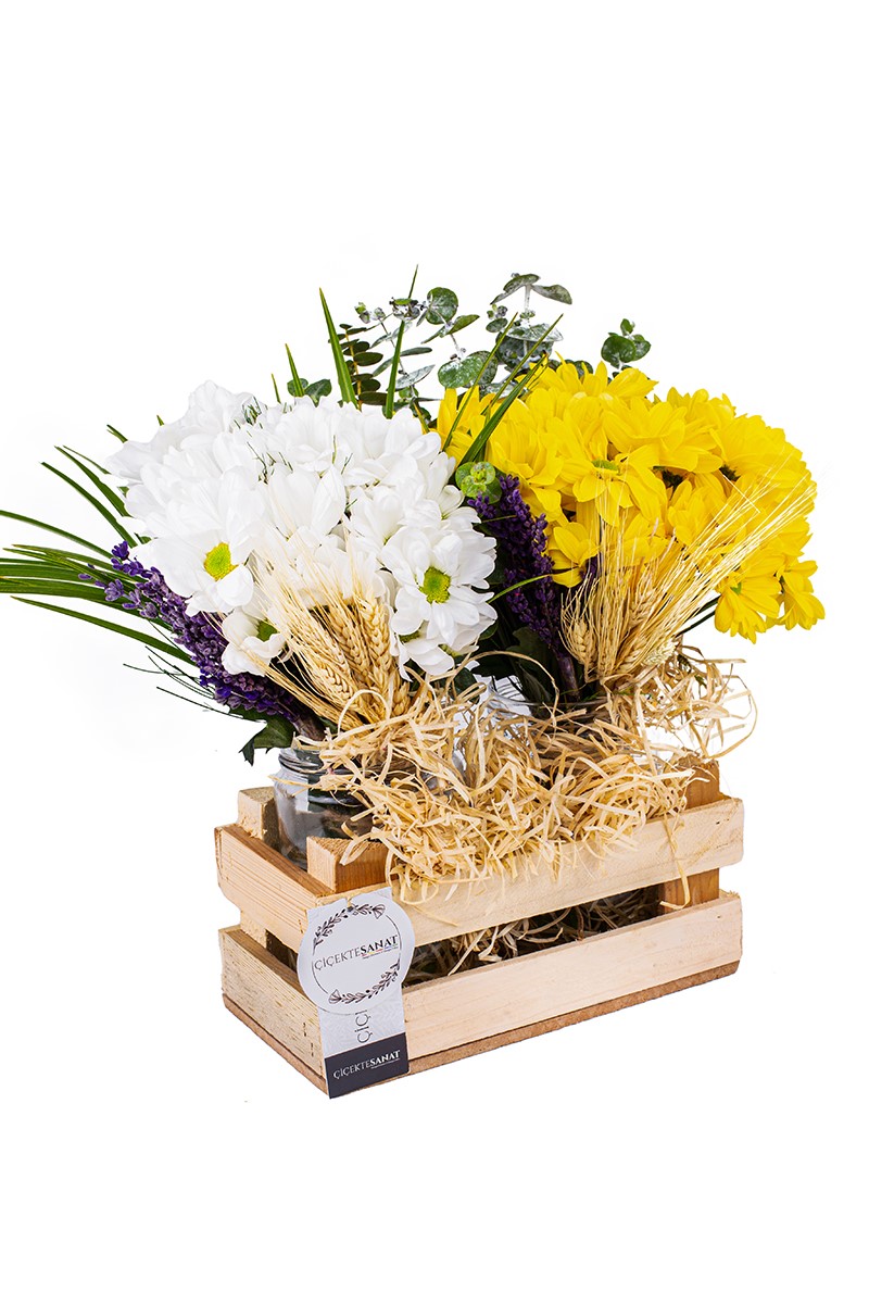 Yellow & White Daisy