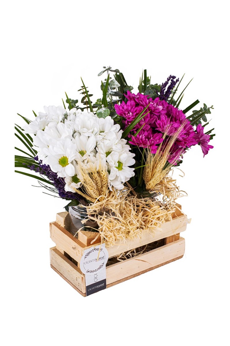 Purple & White Daisy