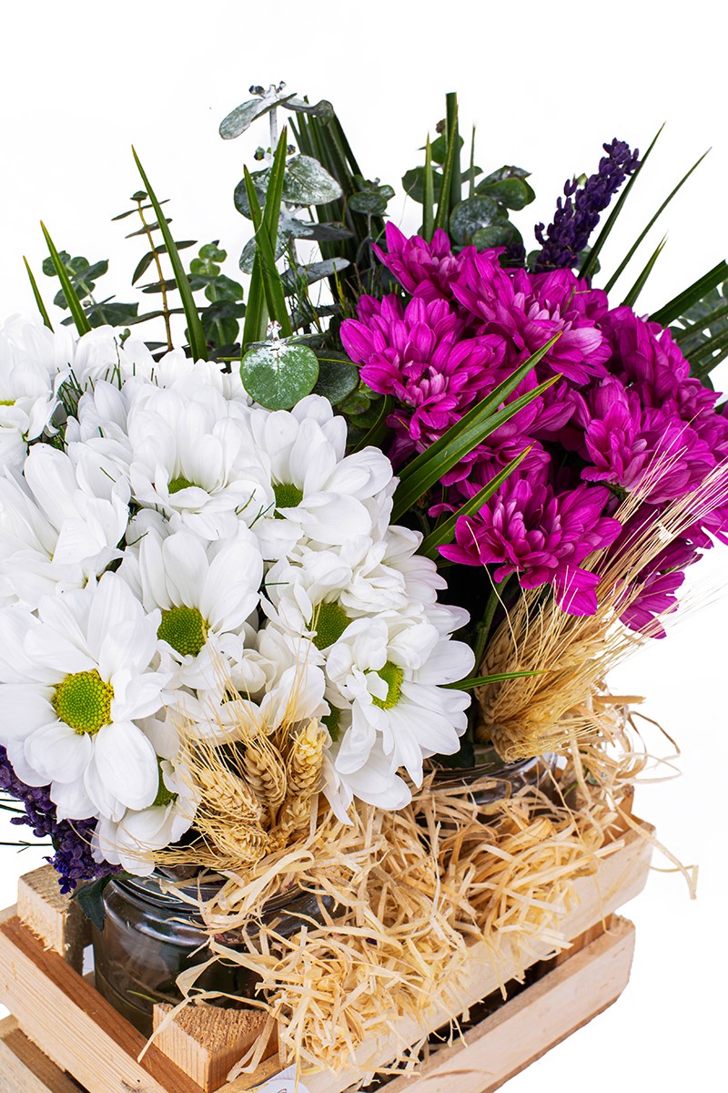 Purple & White Daisy
