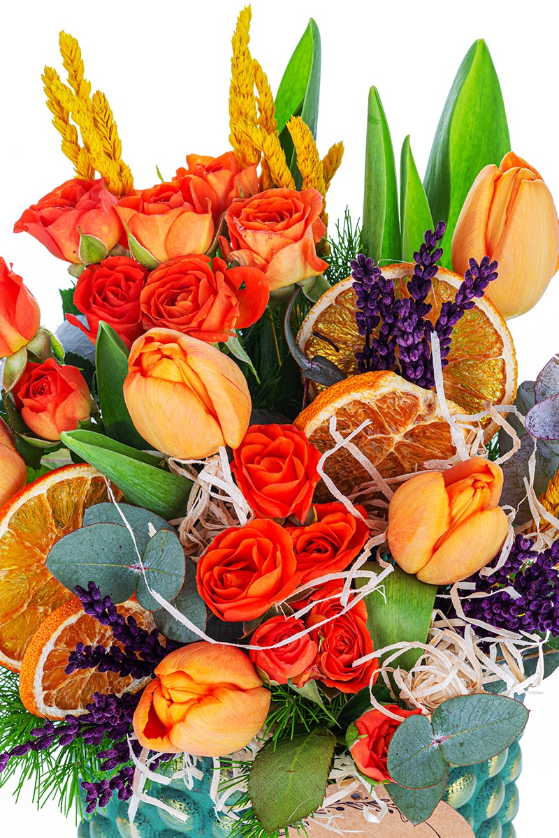 Orange Tulip