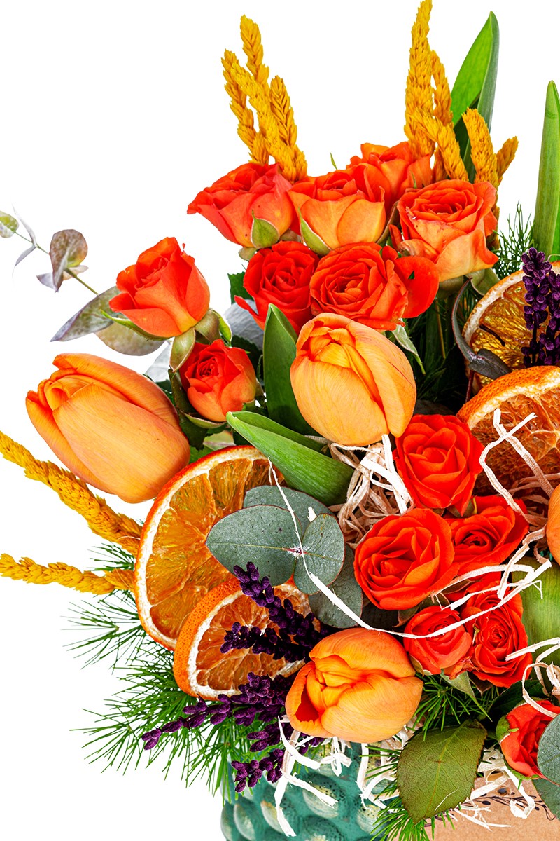 Orange Tulip