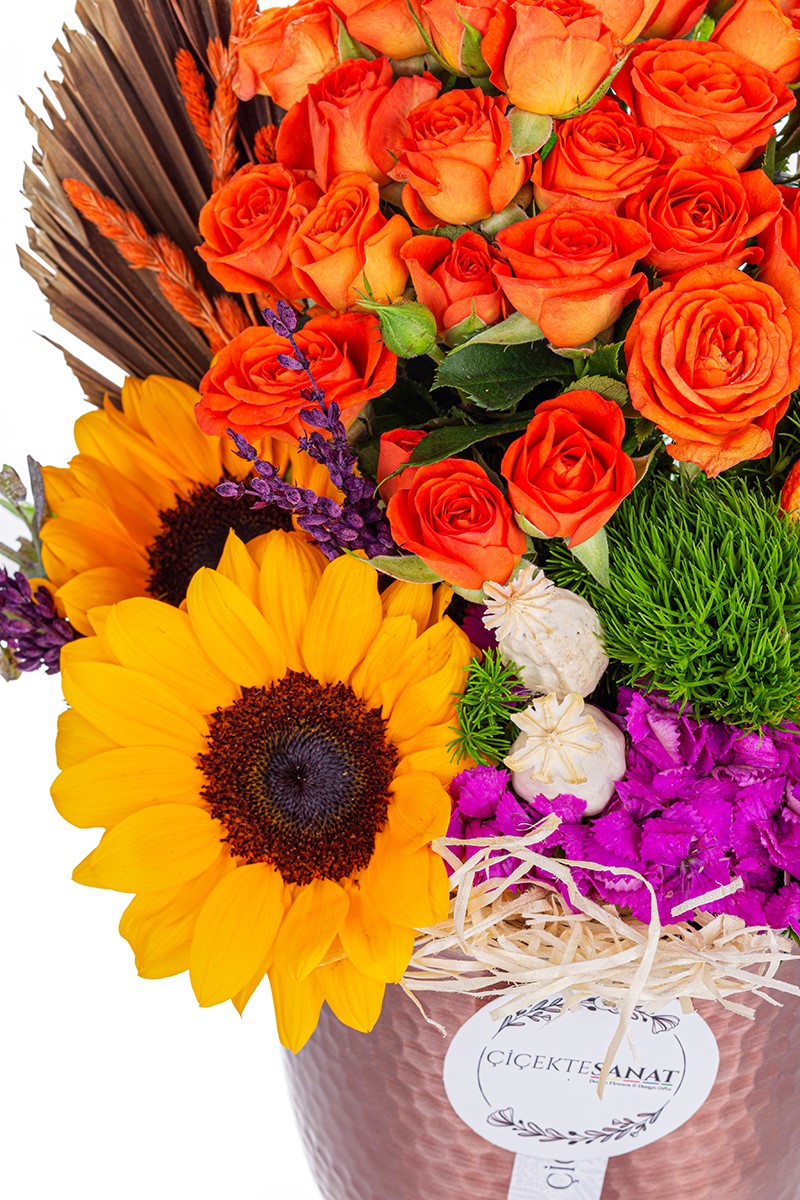 Copper Sunflower Roses