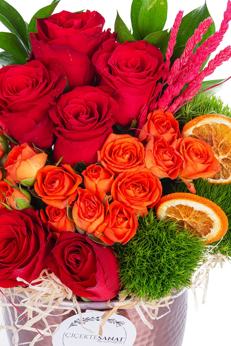 Copper Red Rose - 3
