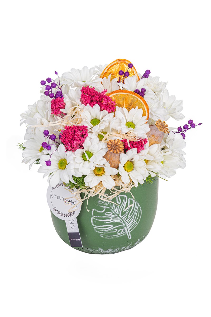 Decorative Fairy Papatyalar