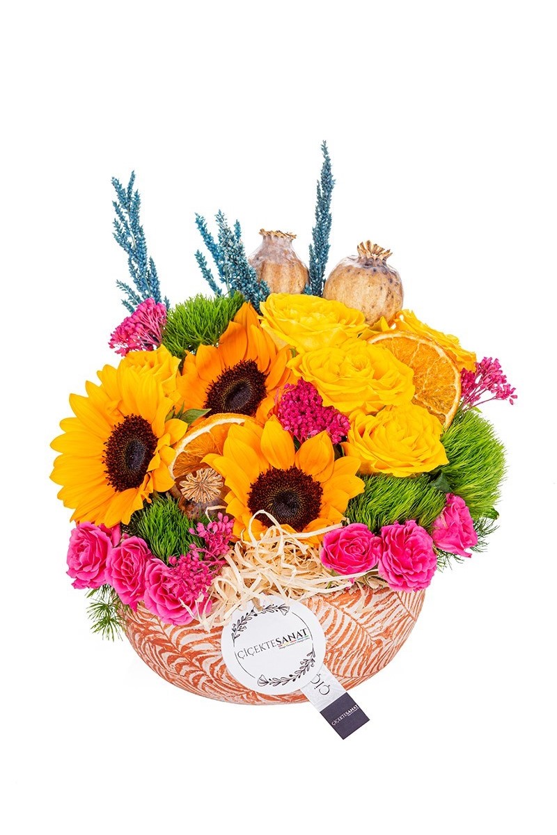 Premium Sunflower