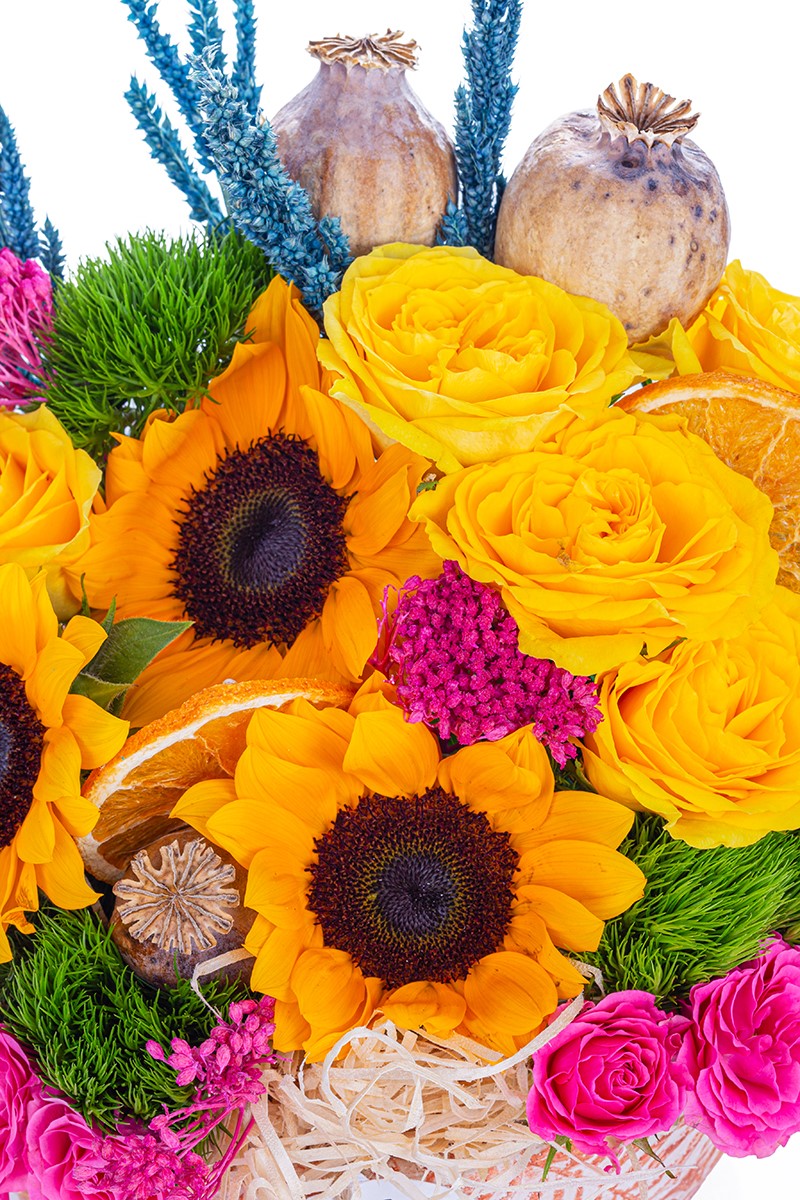 Premium Sunflower