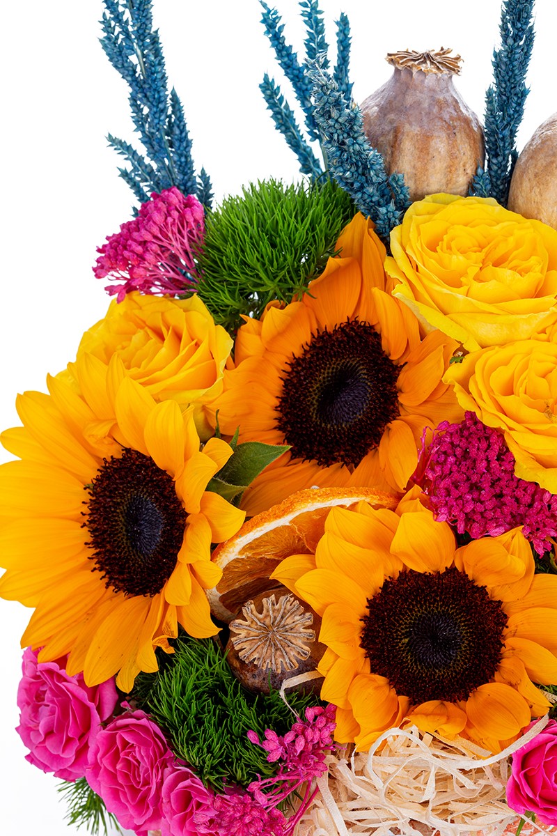 Premium Sunflower