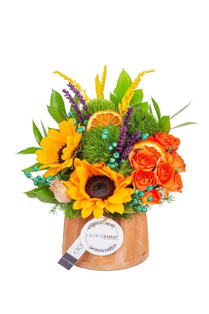 Live Flowers