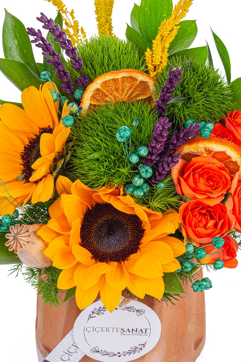 Live Flowers