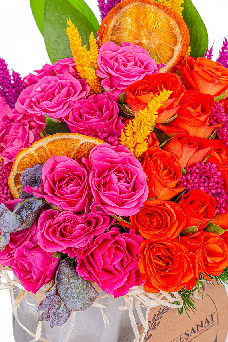 Orange & Pink Purity