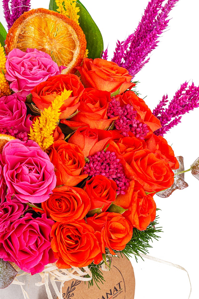 Orange & Pink Purity