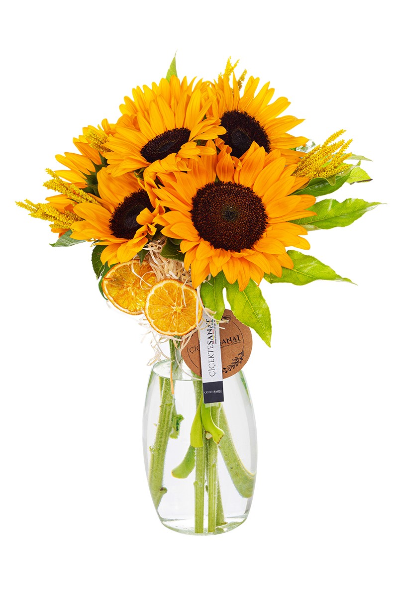 Baby Sunflower