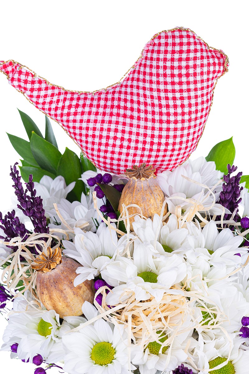 Whıte Daisy Bird