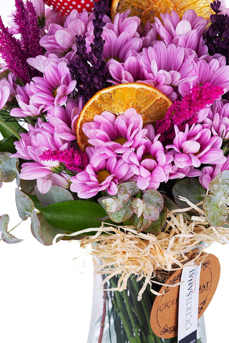 Purple Daisy & Love