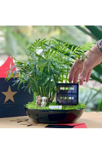 DollHouse Teraryum - Bungalov Minyatür Bahçe Teraryum