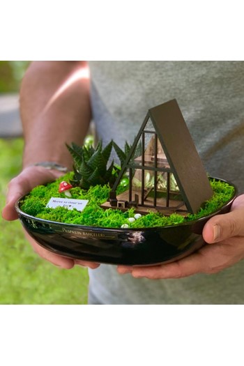 Bungalovlu Minyatür Bahçe, Minyatür Bahçe Teraryum