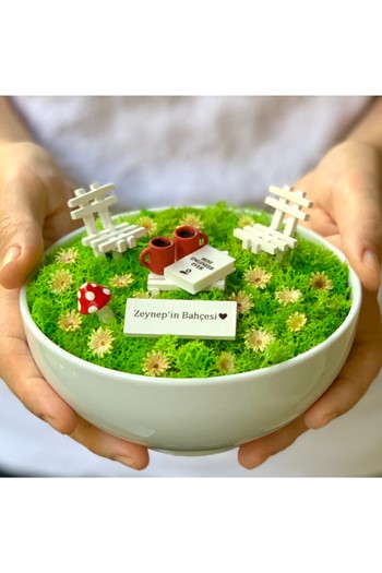 Mühendise Hediye Teraryum