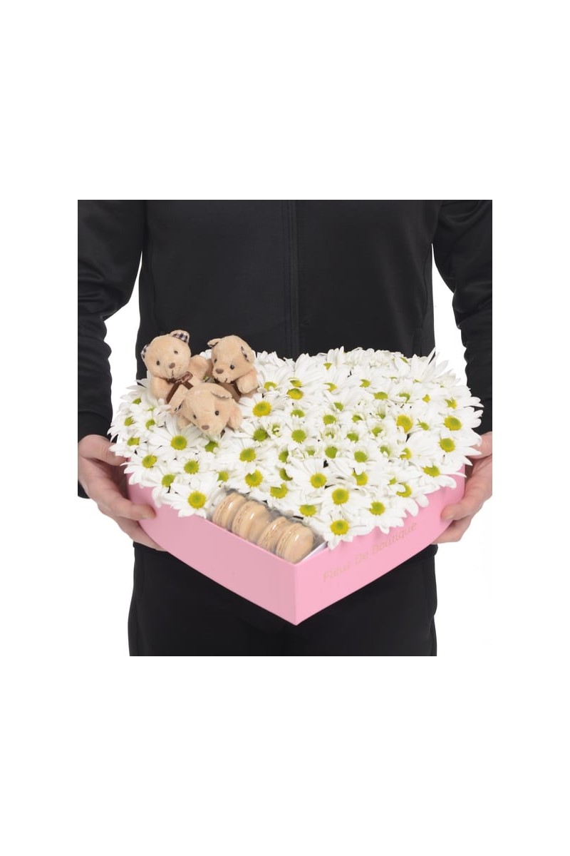 Pembe Kalp Kutuda Beyaz Papatyalar Kahve Peluş Ayıcıklar Ve Makaronlar
