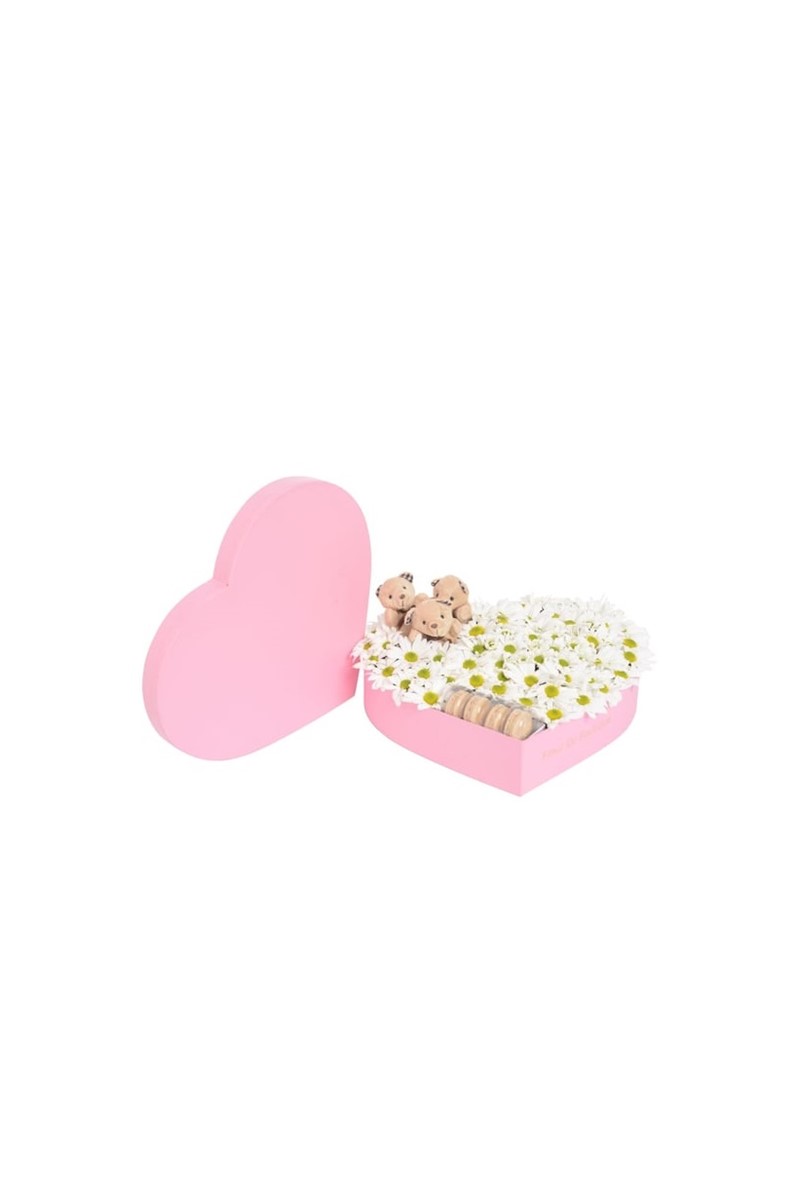 Pembe Kalp Kutuda Beyaz Papatyalar Kahve Peluş Ayıcıklar Ve Makaronlar