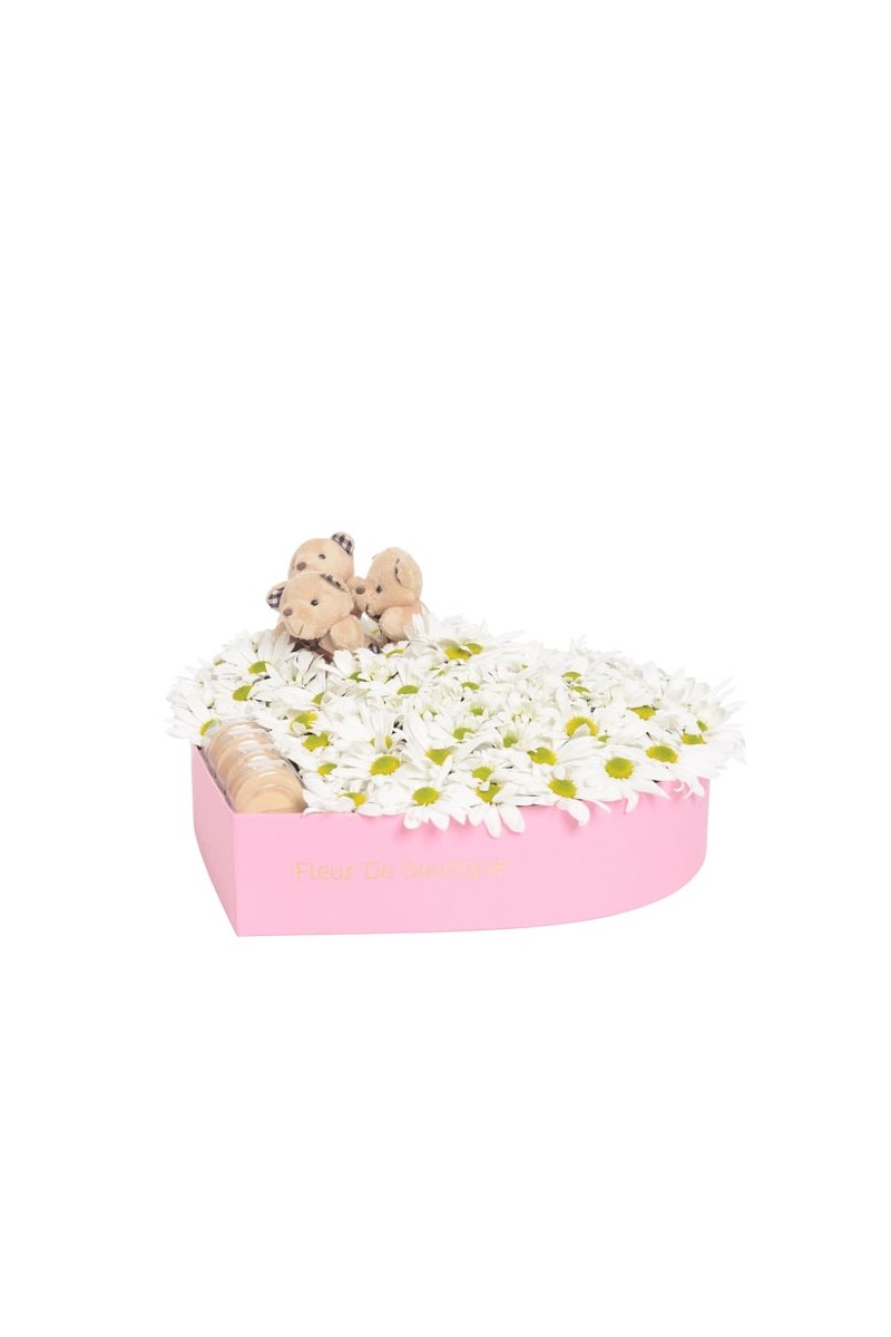 Pembe Kalp Kutuda Beyaz Papatyalar Kahve Peluş Ayıcıklar Ve Makaronlar