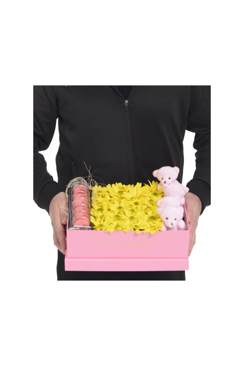 Pembe Kutuda Sarı Papatyalar Peluş Ayıcıklar Ve Makaronlar
