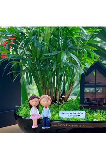 Tiny House Teraryum, Minyatür Bahçe Teraryum